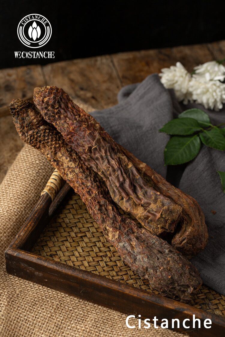 cistanche the dragon herb