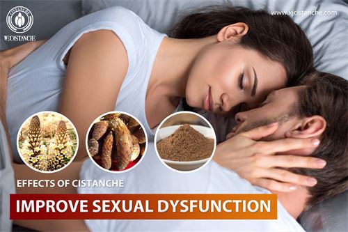 Cistanche improve Kidney Function Cistanche improve Kidney Function