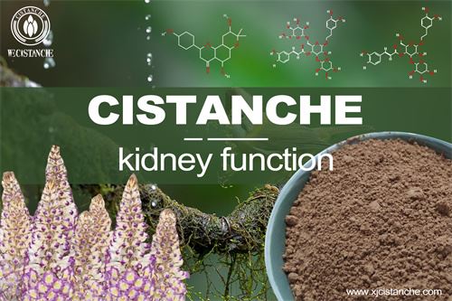 to protect kidney function