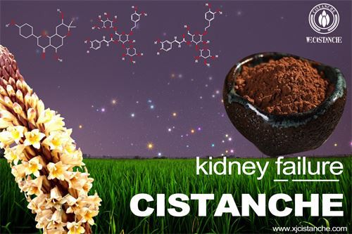 to relieve kidney failure