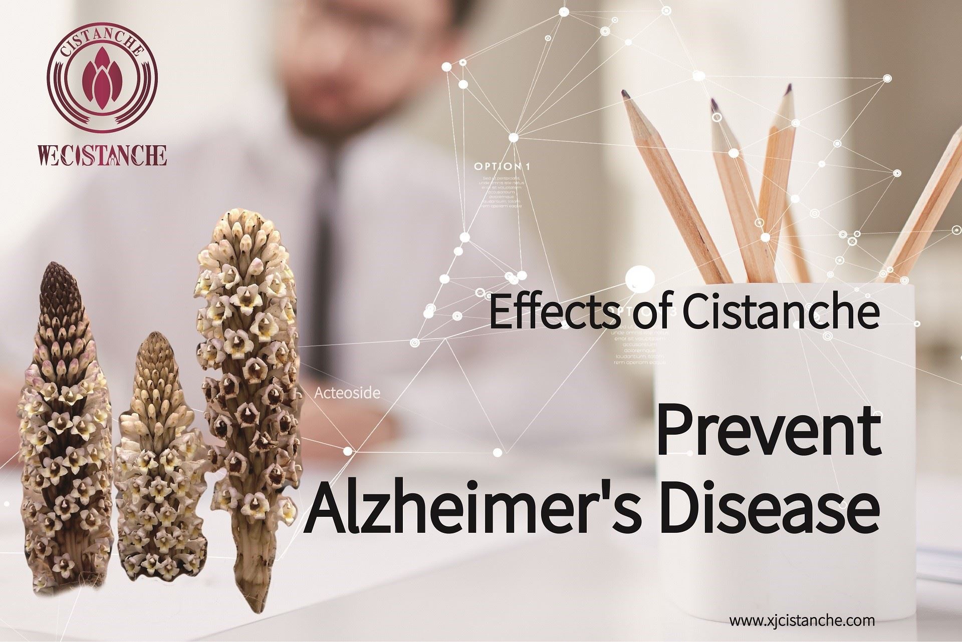 Prevent Alzheimer's disease