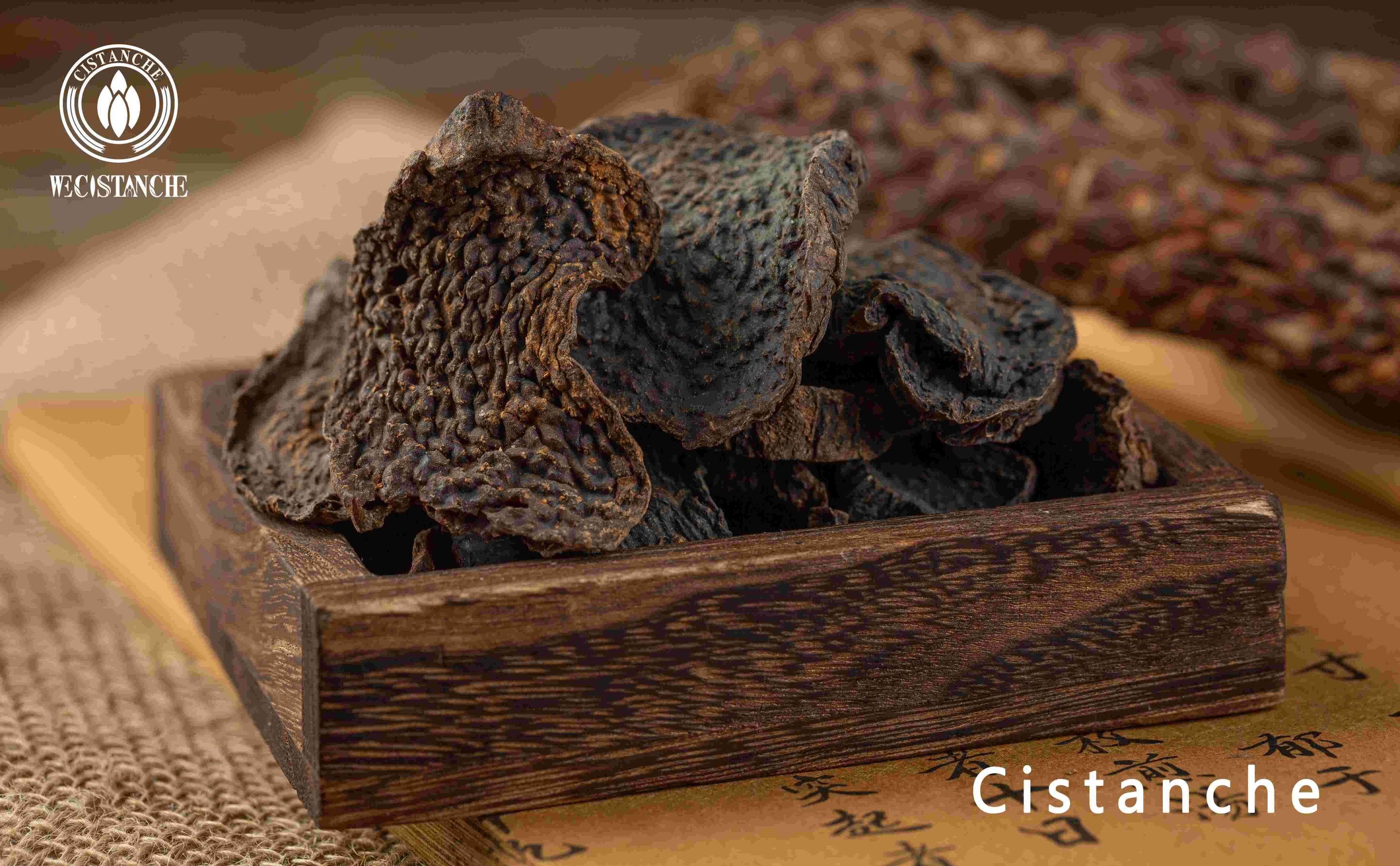 Cistanche