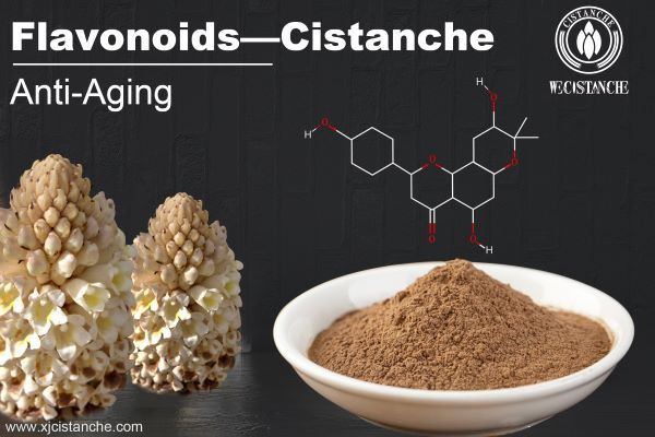 Flavonoids, the main element of Cistanche, is anti-aging.