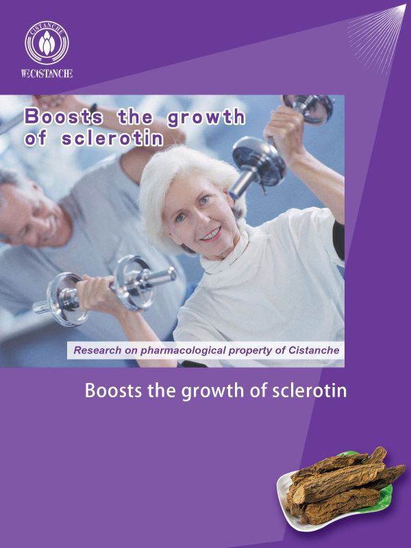 Cistanche boosts the growth of sclerotin.
