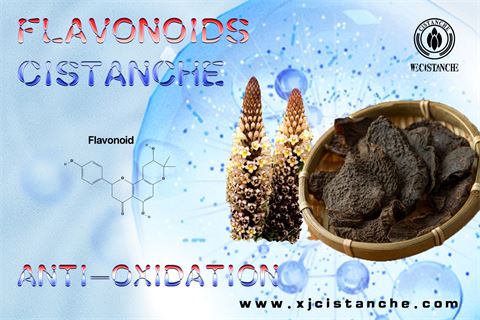1flavonoids antioxidant 1flavonoids antioxidant