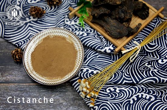 Cistanche extract