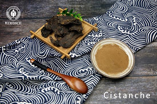 Cistanche extract (4)