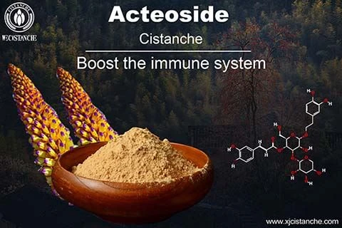 Improve immune system to againt covid