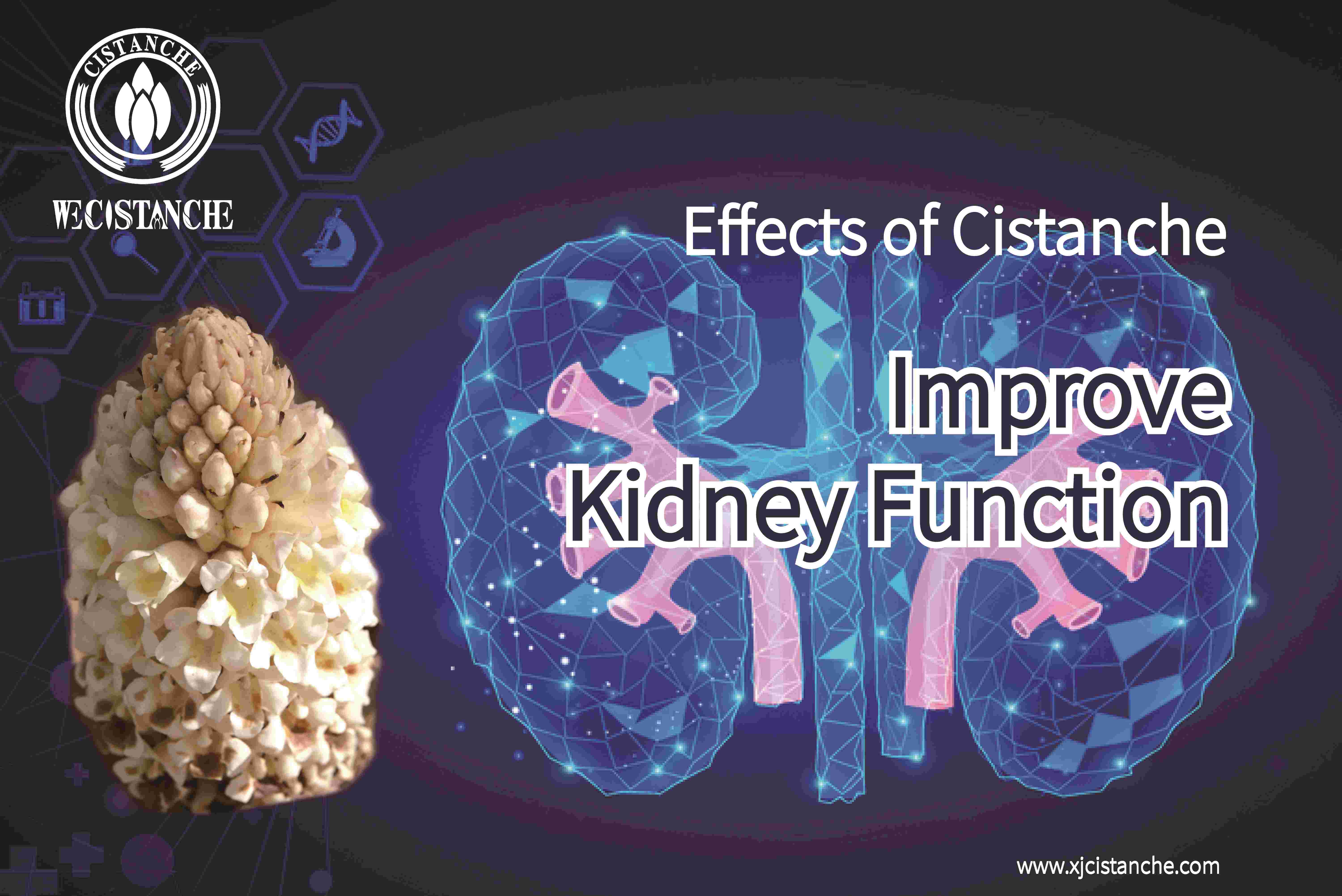 how to treat kidney disease how to treat kidney disease