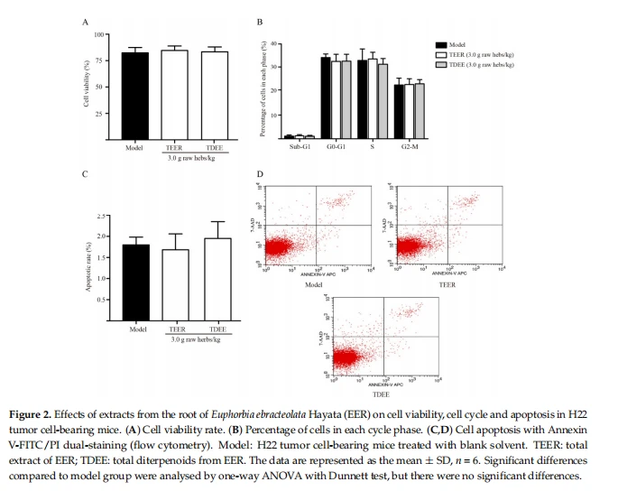 Figure 2. Effects of extracts from the root of Euphorbiaebradeolata Hayata(EER)on cell viability,cell cycle and apoptosis in H22 tumor cell-bearing mice.