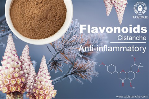 flavonoids supplements anti-inflammatory