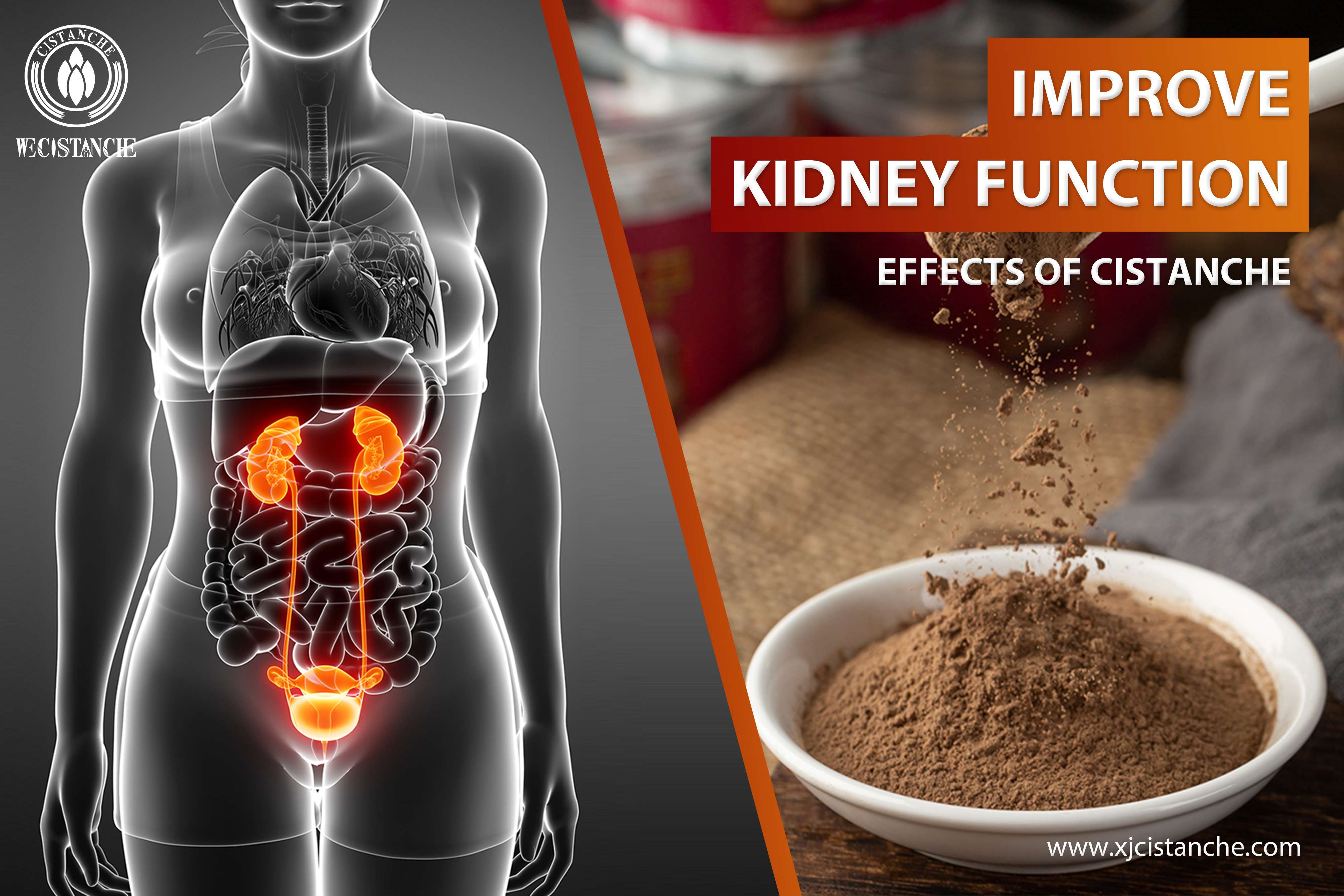 kidney supplement kidney supplement