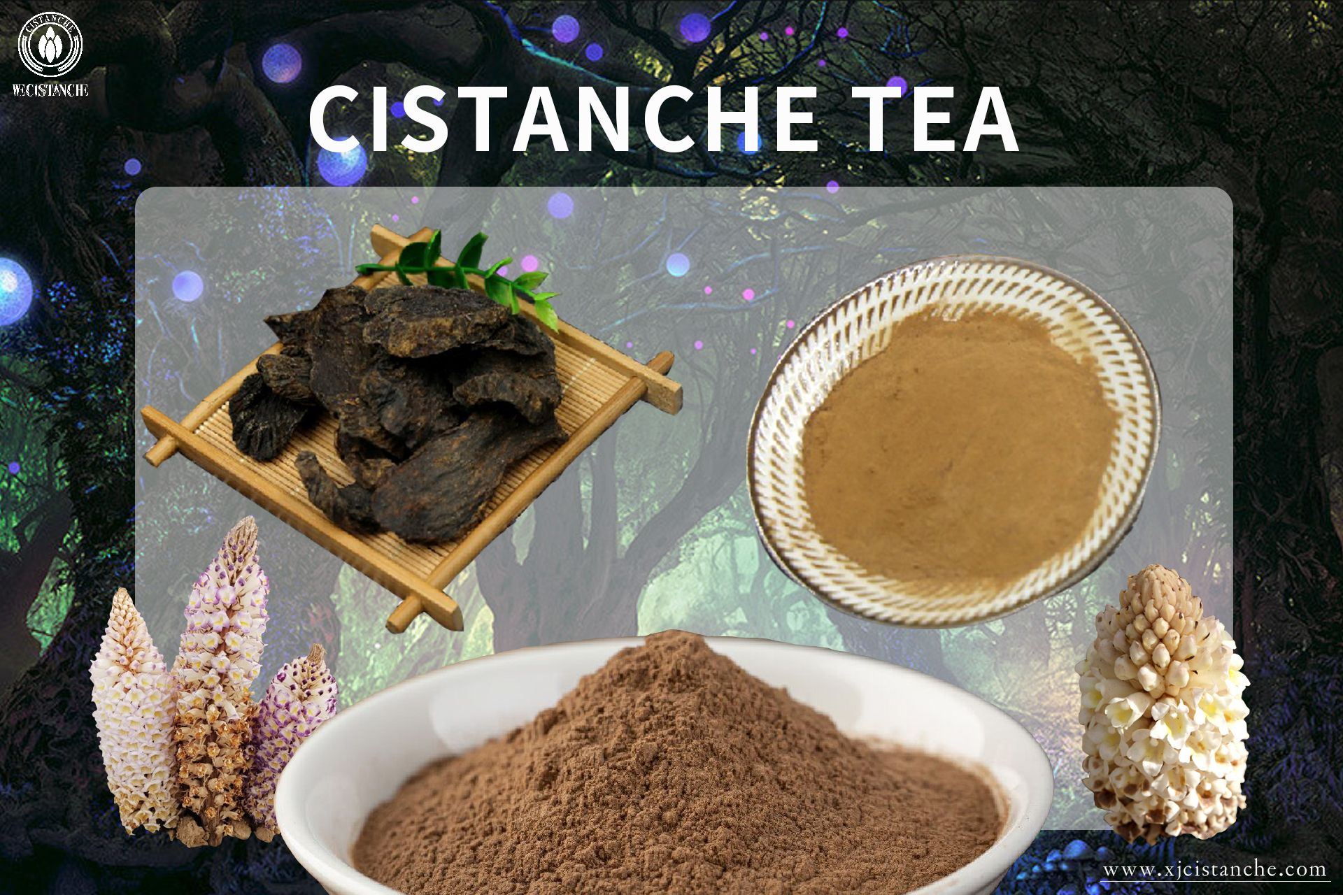the best cistanche tea the best cistanche tea
