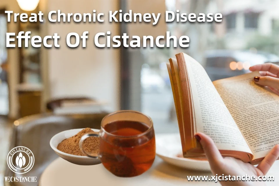 Treat Chronic Kidney Disease