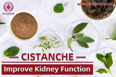 Cistanche benefits