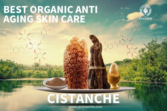 cistanche anti-aging supplements