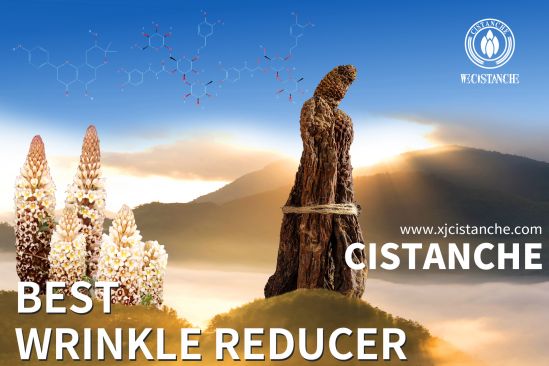 cistanche anti-aging supplements