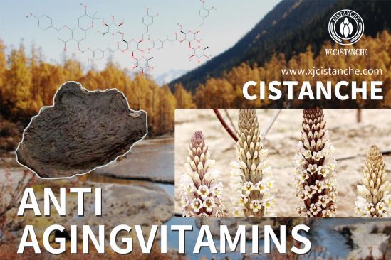 Cistanche anti-aging supplements
