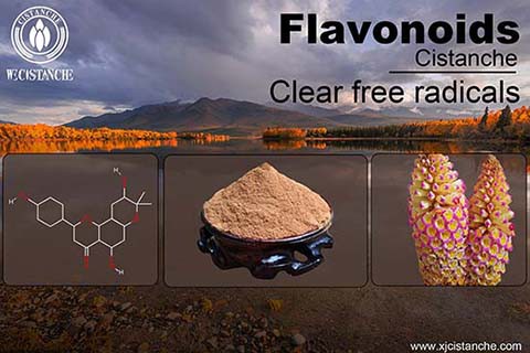 Flavonoid (11)
