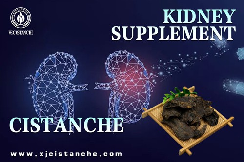 cistanche tubulosa dosage cistanche tubulosa dosage
