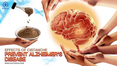Anti Alzheimer's (1)
