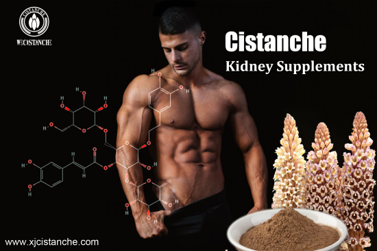 25% ECHINACOSIDE 9% ACTEOSIDE CISTANCHE 
