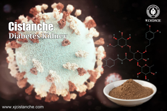 25% ECHINACOSIDE 9% ACTEOSIDE CISTANCHE 