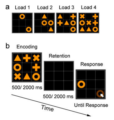 Figure 1. Stimuli (a) and the workflow of an example trial (b). Memory load was manipulated by varying the number of shape pairs. The circle and white arrow in the right–bottom cell are illustrated to show the correct response for the current trial but were not presented in the experiment Figure 1. Stimuli (a) and the workflow of an example trial (b). Memory load was manipulated by varying the number of shape pairs. The circle and white arrow in the right–bottom cell are illustrated to show the correct response for the current trial but were not presented in the experiment