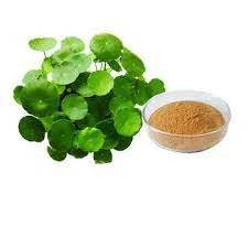 Centella Asiatica -uutejauhe